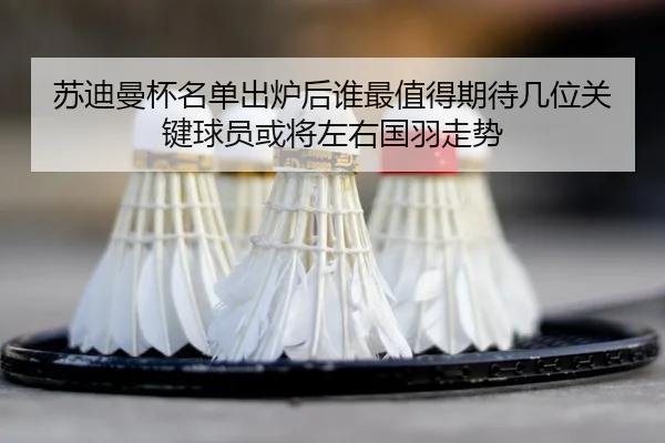 su-di-man-bei-ming-dan-chu-lu-hou-shui-zui-zhi-de-qi-dai-ji-wei-guan-jian-qiu-yuan-huo-jiang-zuo-you-guo-yu-zou-shi-3-232.jpg